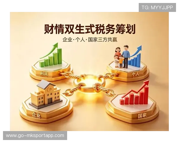 资深税务顾问的筹划：他是如何通过合规方案优化税负结构的